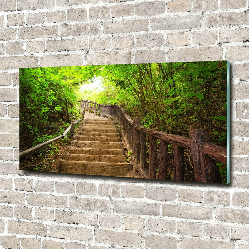 Wall art on glass Stairs in the forest