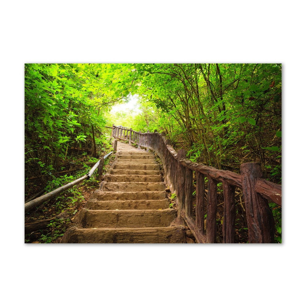 Wall art on glass Stairs in the forest