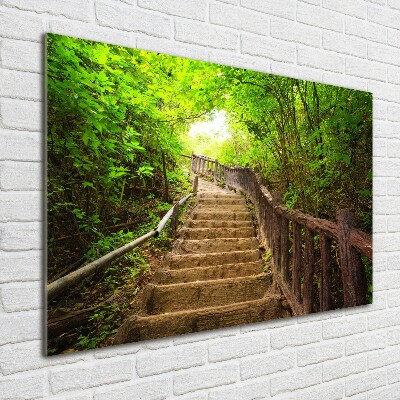 Wall art on glass Stairs in the forest