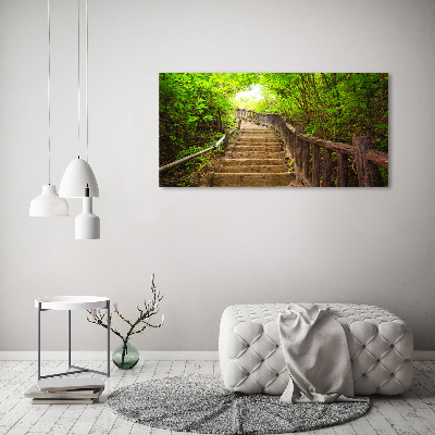 Wall art on glass Stairs in the forest