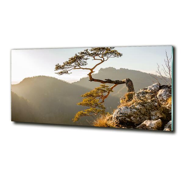 Wall art on glass Sokolica pieniny