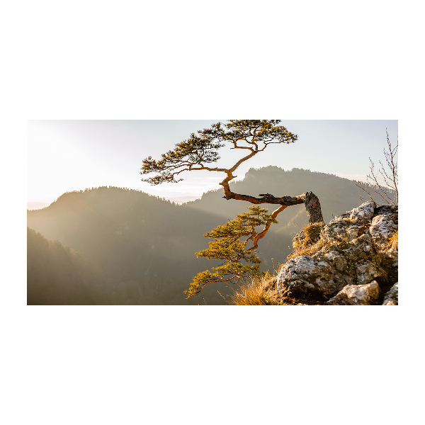 Wall art on glass Sokolica pieniny