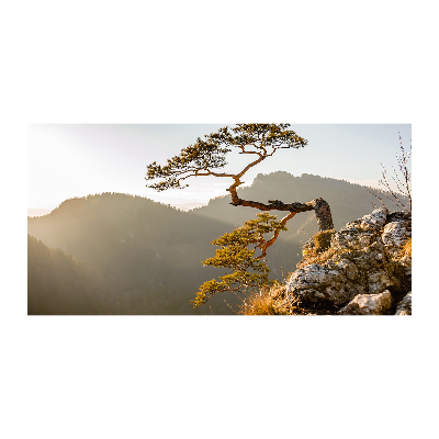 Wall art on glass Sokolica pieniny