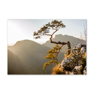 Wall art on glass Sokolica pieniny