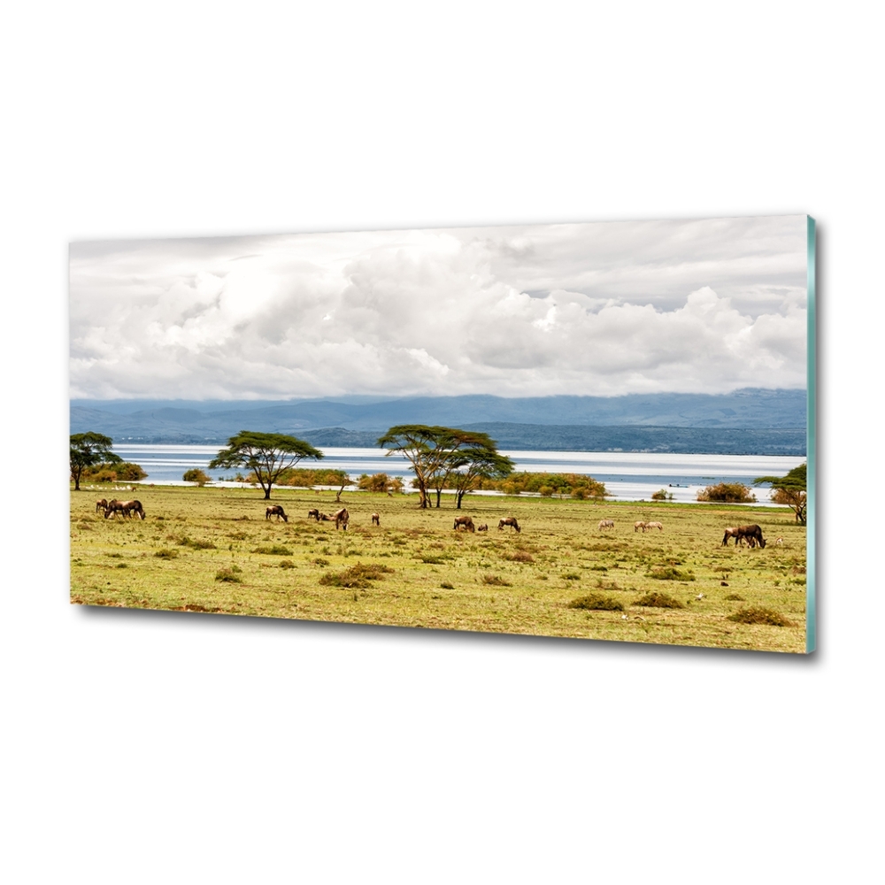 Wall art on glass Naivasha lake