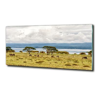 Wall art on glass Naivasha lake