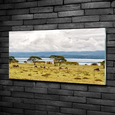 Wall art on glass Naivasha lake