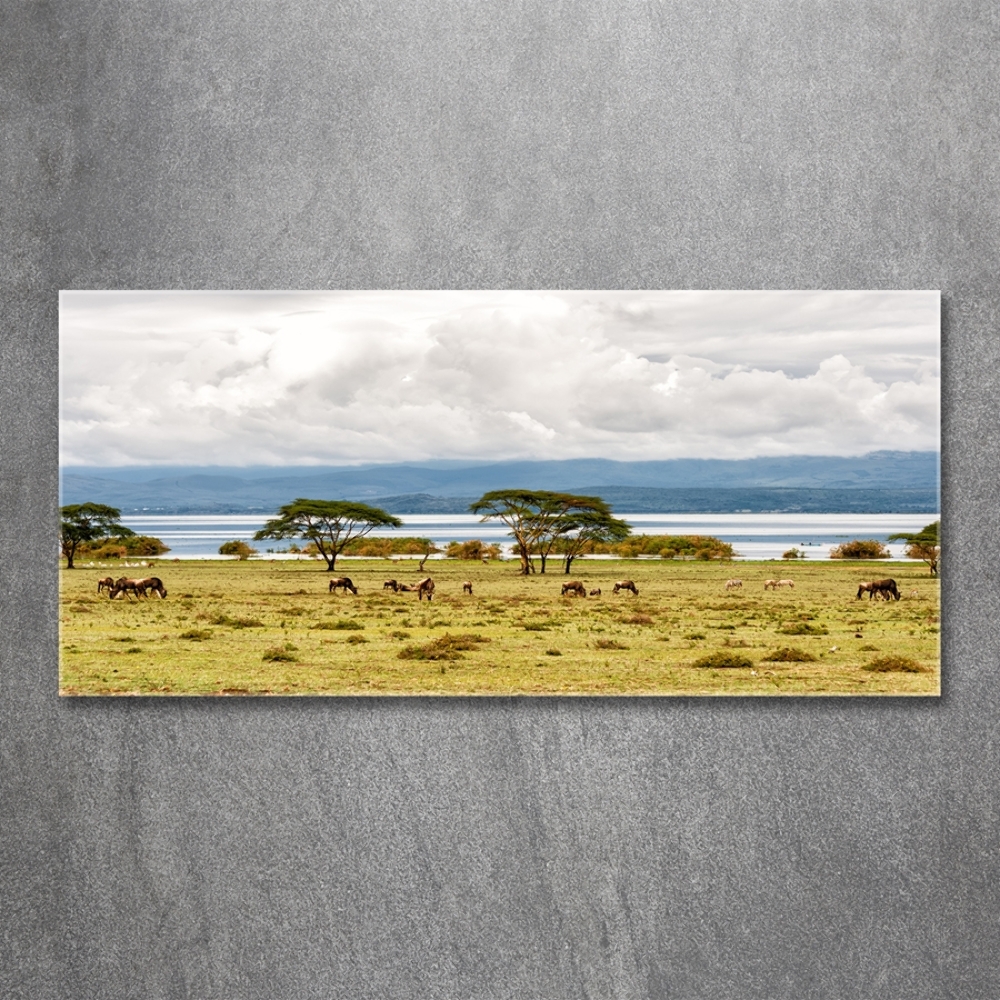 Wall art on glass Naivasha lake