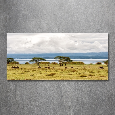 Wall art on glass Naivasha lake