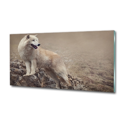 Printed glass wall art White wolf on the rock