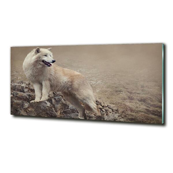 Printed glass wall art White wolf on the rock