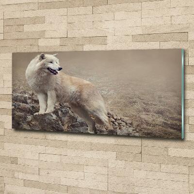 Printed glass wall art White wolf on the rock