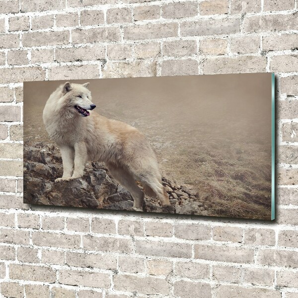 Printed glass wall art White wolf on the rock