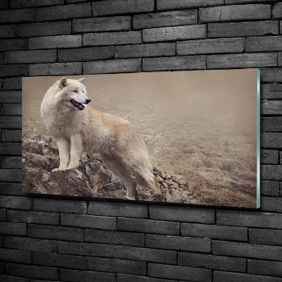 Printed glass wall art White wolf on the rock