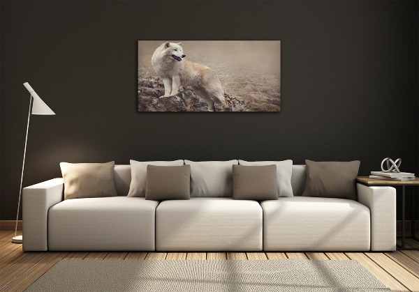 Printed glass wall art White wolf on the rock