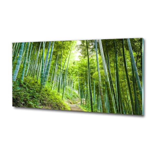 Glass art print Bamboo forest