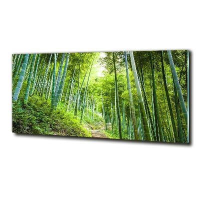 Glass art print Bamboo forest