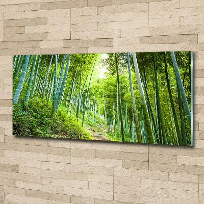 Glass art print Bamboo forest