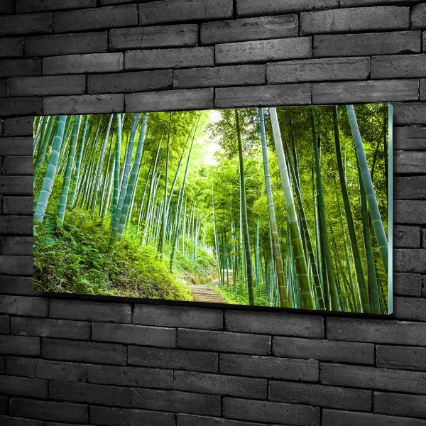 Glass art print Bamboo forest