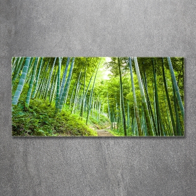 Glass art print Bamboo forest