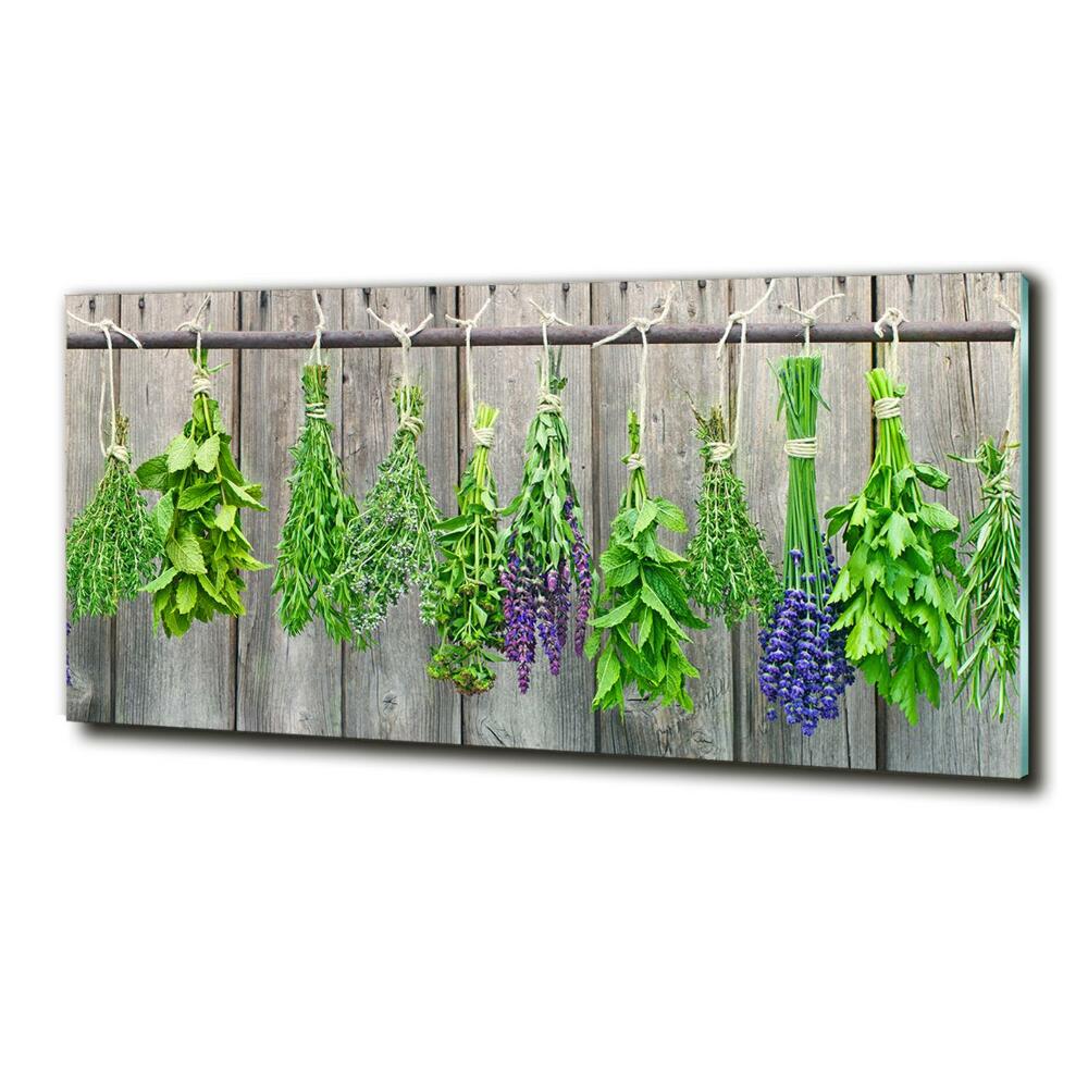 Printed glass wall art Herbs on a string