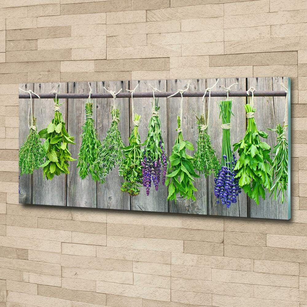 Printed glass wall art Herbs on a string