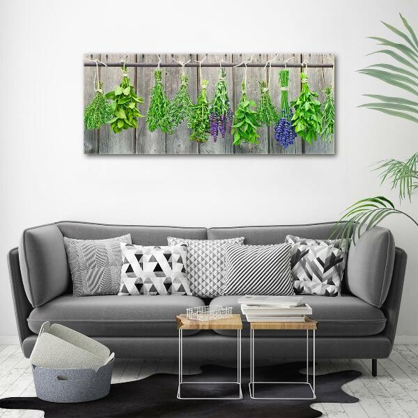 Printed glass wall art Herbs on a string