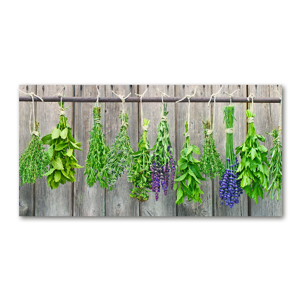 Printed glass wall art Herbs on a string