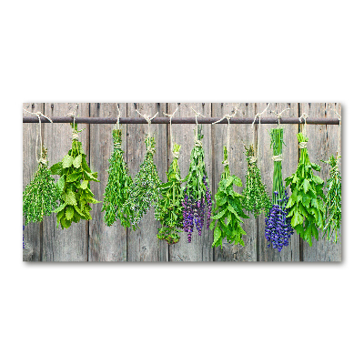 Printed glass wall art Herbs on a string