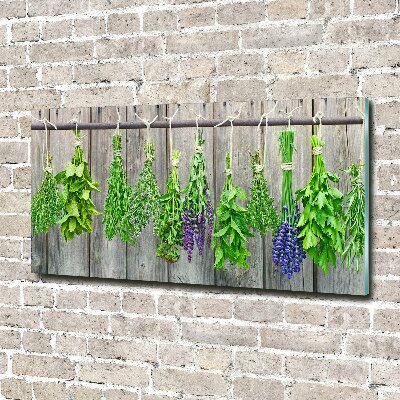 Printed glass wall art Herbs on a string