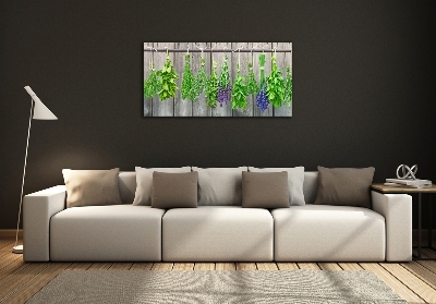 Printed glass wall art Herbs on a string