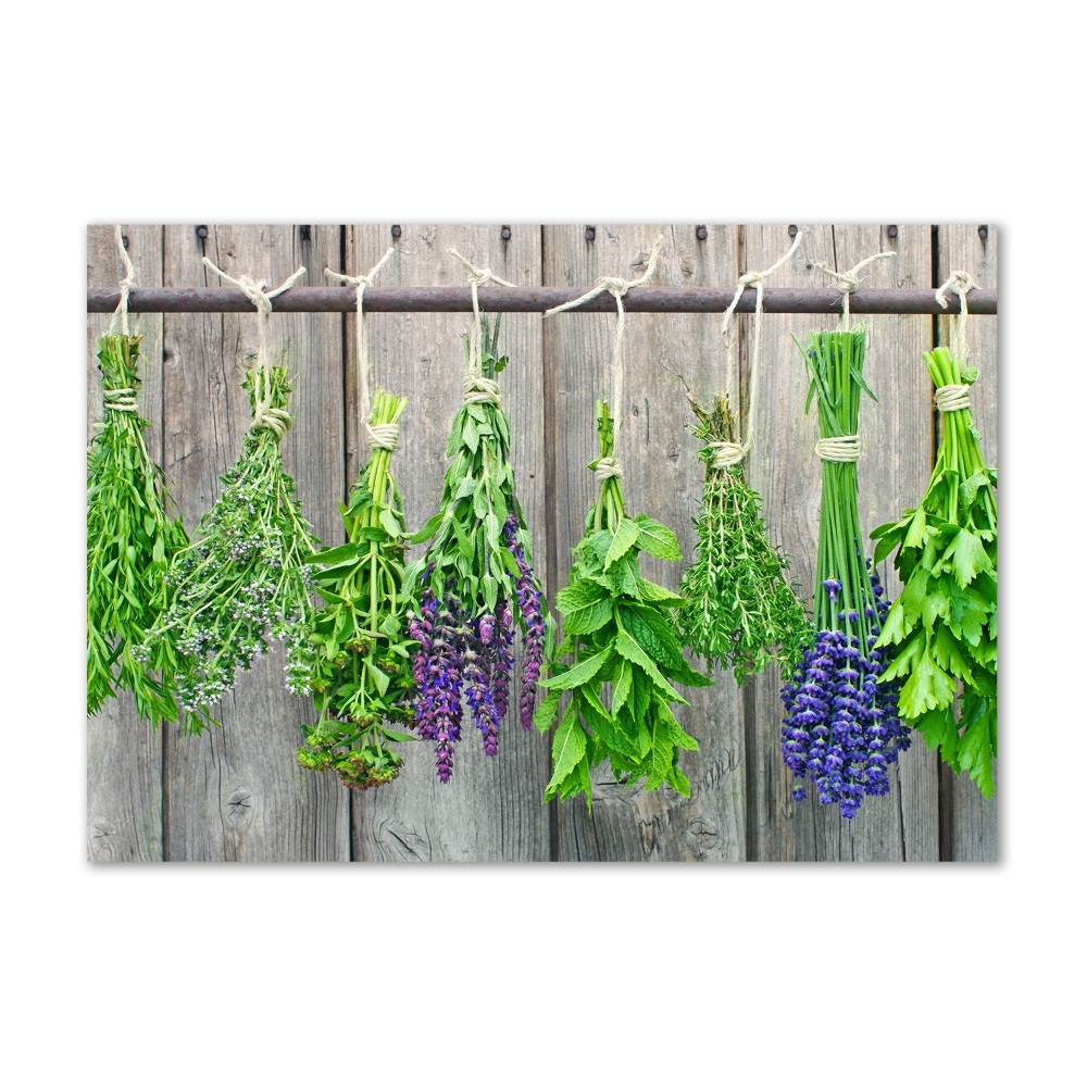 Printed glass wall art Herbs on a string