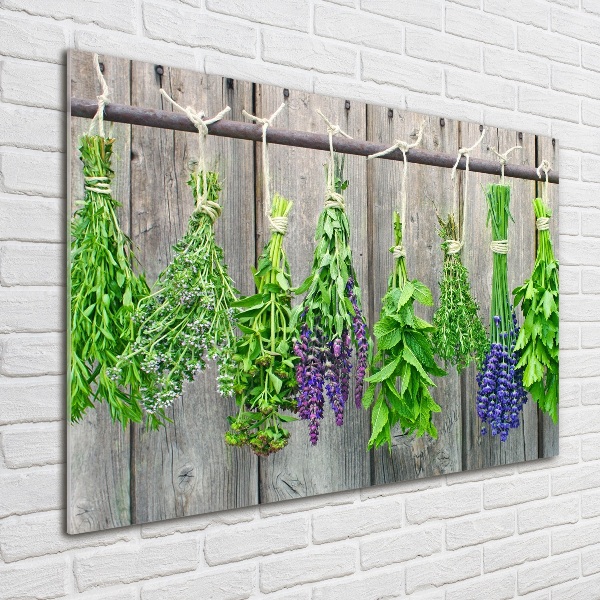 Printed glass wall art Herbs on a string