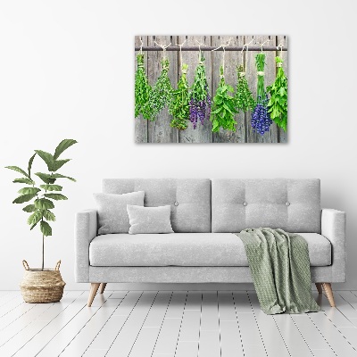 Printed glass wall art Herbs on a string