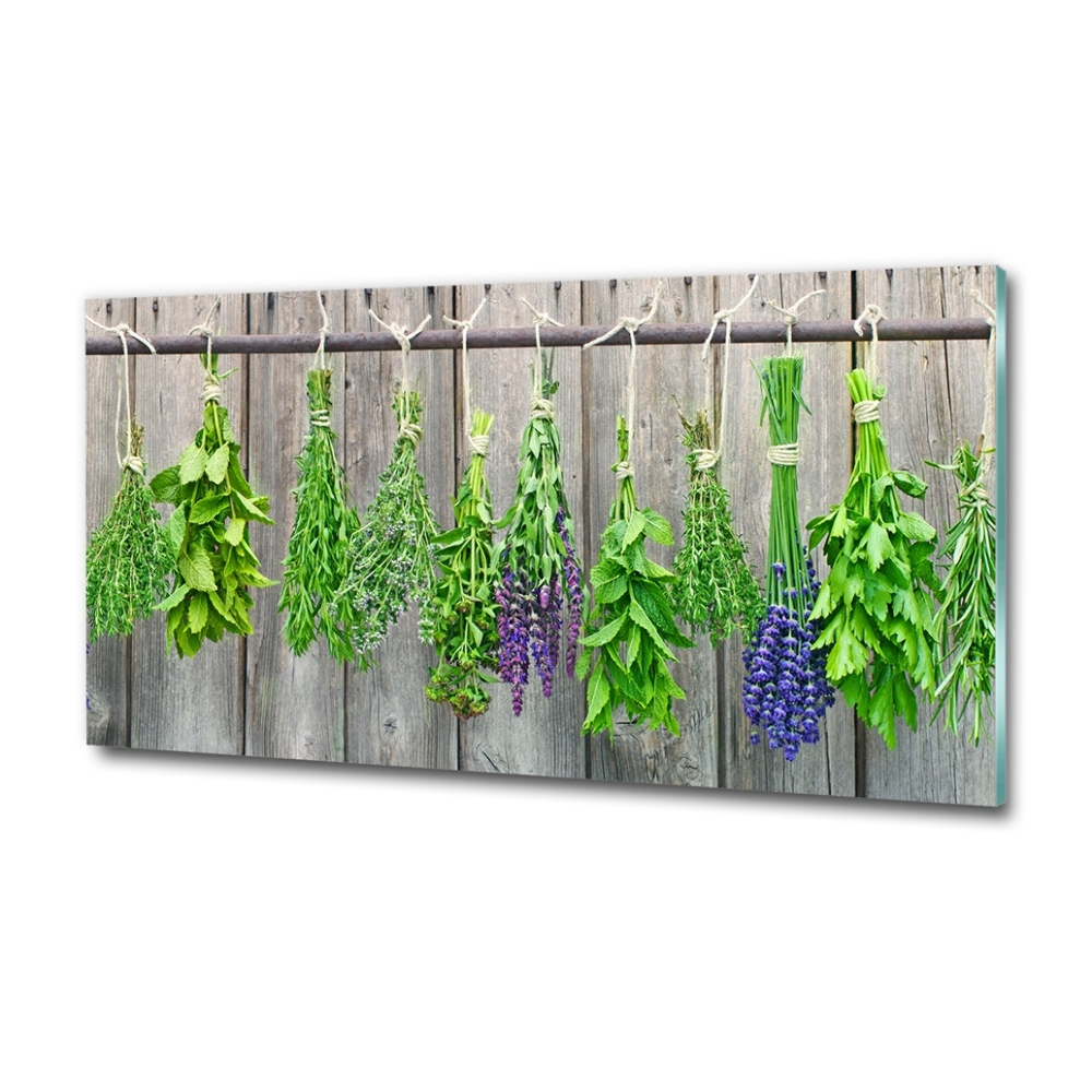 Printed glass wall art Herbs on a string