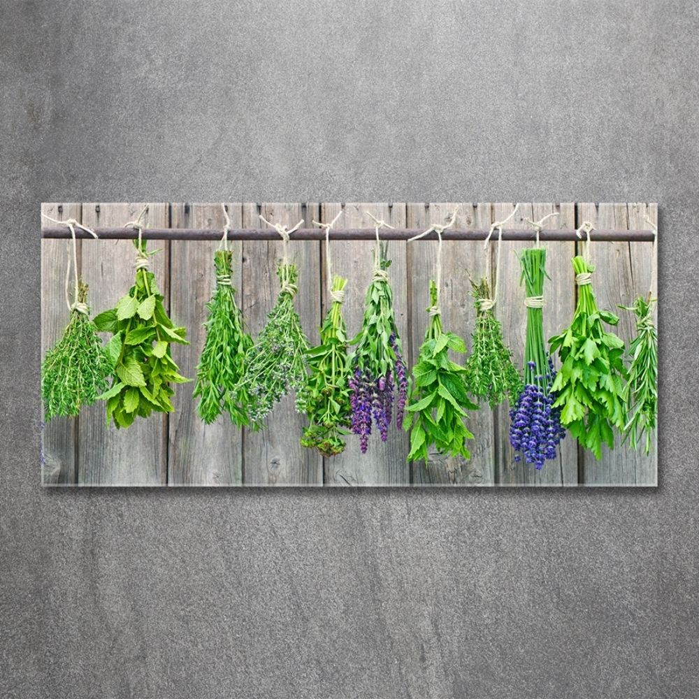 Printed glass wall art Herbs on a string