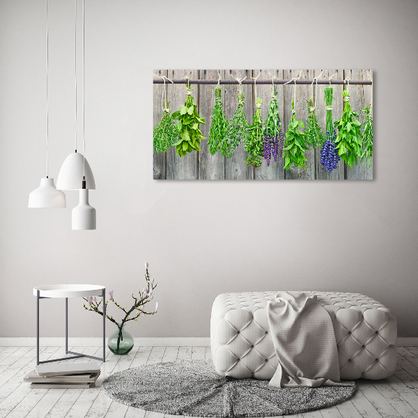 Printed glass wall art Herbs on a string