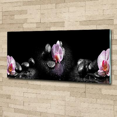 Glass picture print Orchid