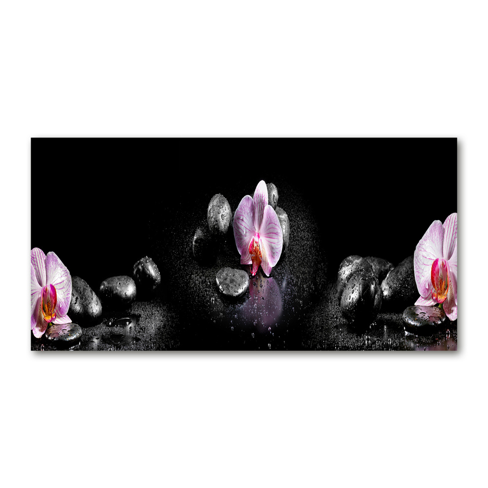 Glass picture print Orchid