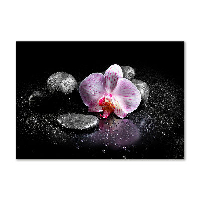 Glass picture print Orchid