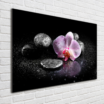 Glass picture print Orchid