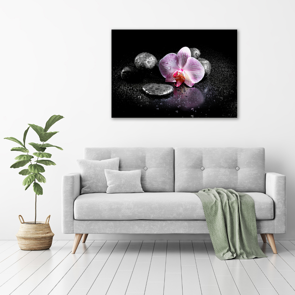 Glass picture print Orchid