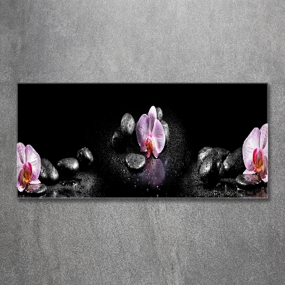 Glass picture print Orchid