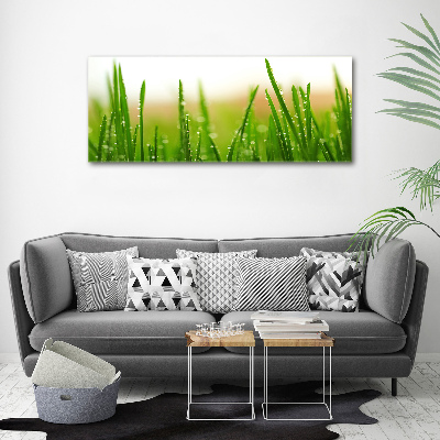 Glass picture print Grass