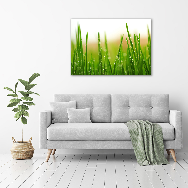 Glass picture print Grass