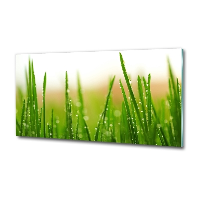 Glass picture print Grass