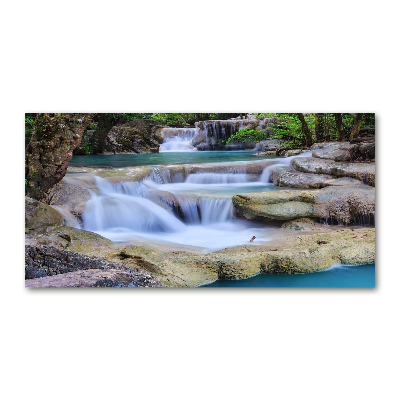 Wall art on glass Cascade in the forest