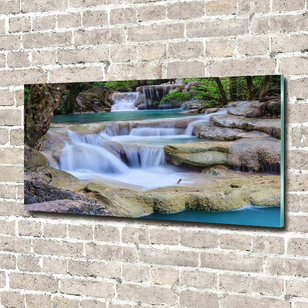 Wall art on glass Cascade in the forest