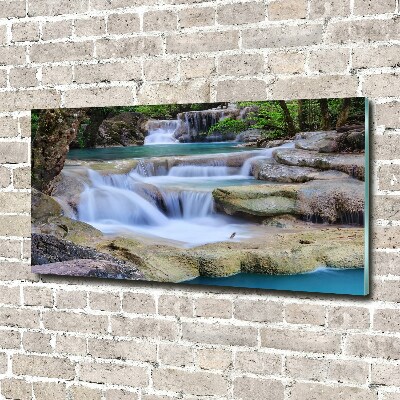 Wall art on glass Cascade in the forest