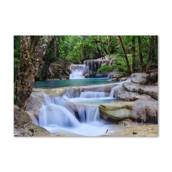 Wall art on glass Cascade in the forest